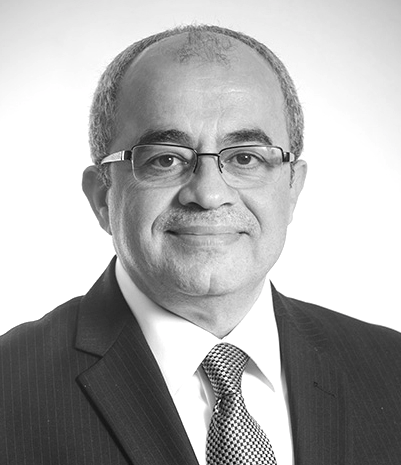 Dr Emad El-Din Shahin
