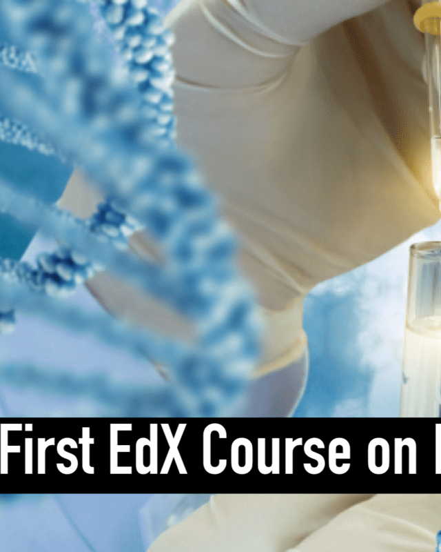 The First EdX Course on Islamic Bioethics by CILE Professor