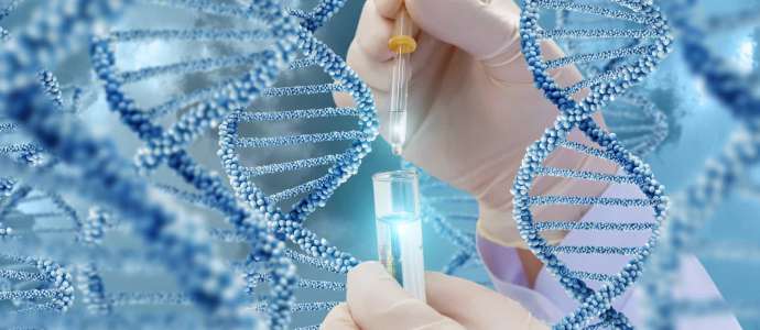 Book Review "The Human Genetics and its applications" By Dr Tammam Al-Ludaimi