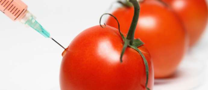 The Debate on Genetically Manipulated Food