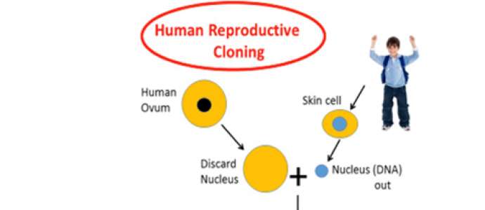 Human Cloning Through Islamic Theology Rebuffing the Absence of God