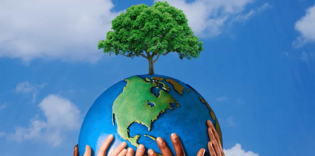 Green Ethics (GE) and Scholarly Disciplines in the Islamic Tradition